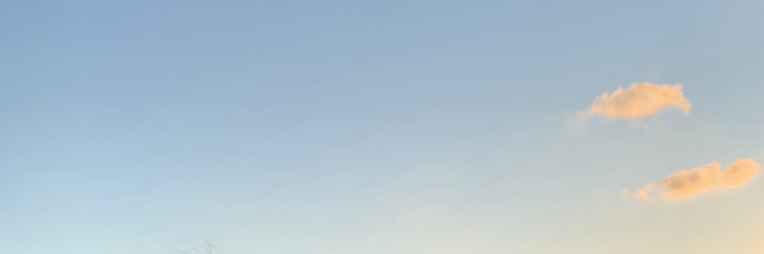 ffslwt's profile banner image