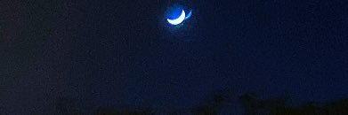 bisz_ ツ banner