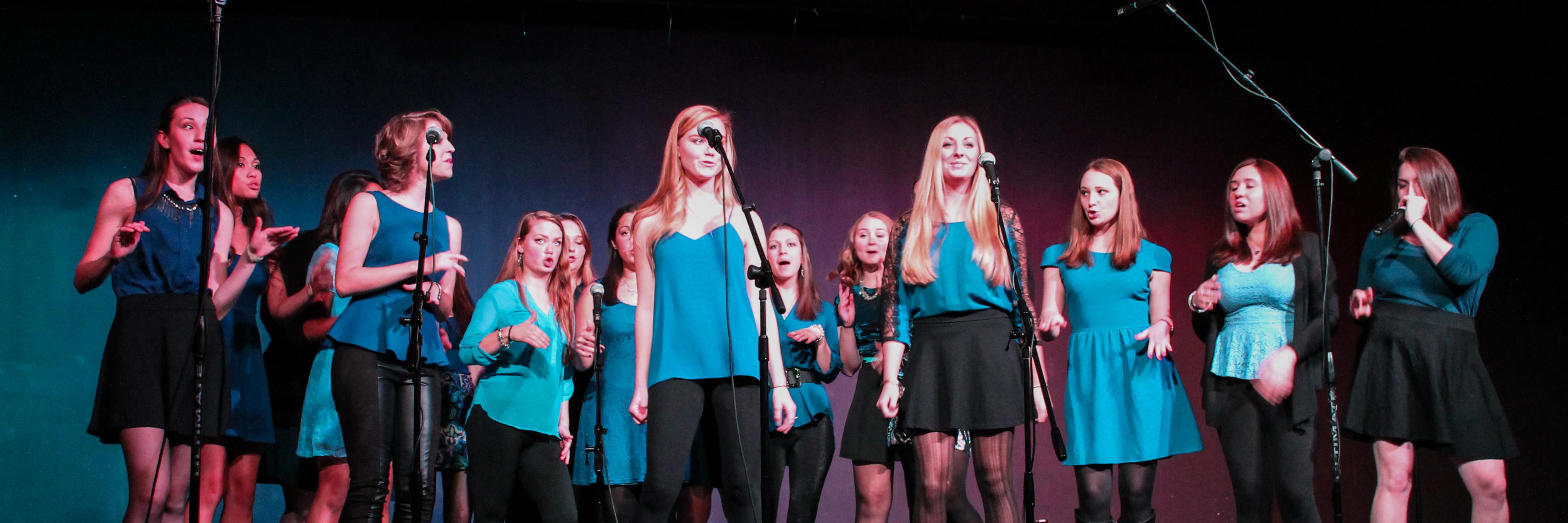 PittTreblers's profile banner image
