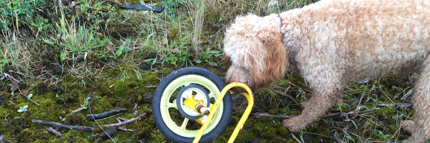 Emsy Sinclair banner