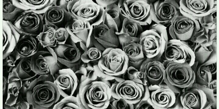 Clau_DyLu's profile banner image