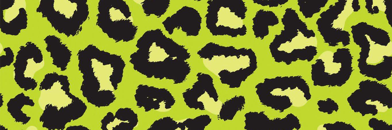 trillkammy's profile banner image