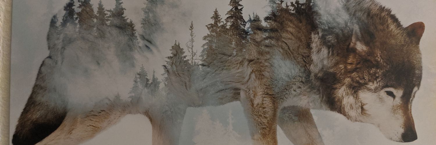 Teslin banner