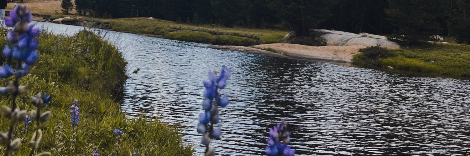 hellexhelle's profile banner image