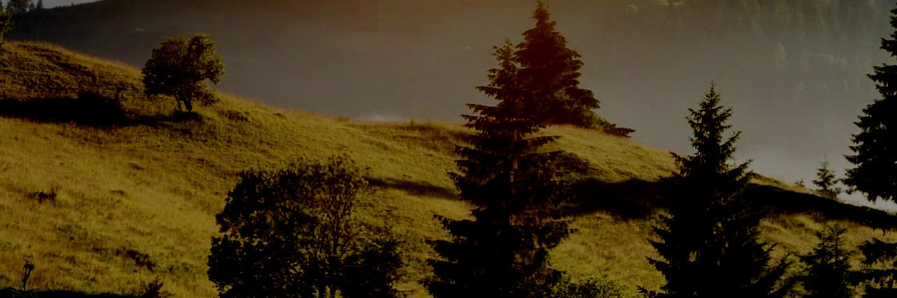 infpformbti's profile banner image