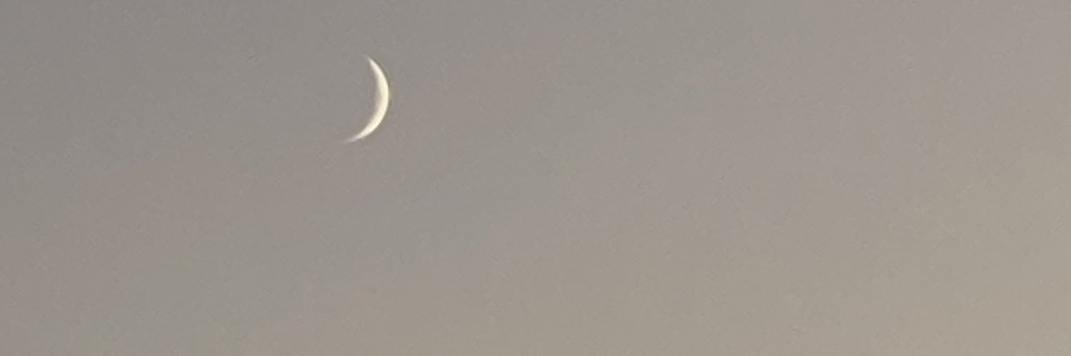 Djibs banner