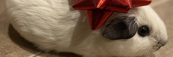 NafilaVT Profile Banner