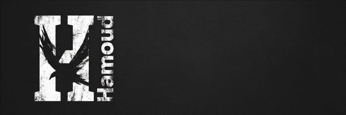 0xHamod's profile banner image