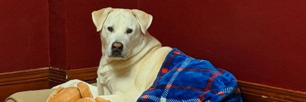 StephOhD Profile Banner
