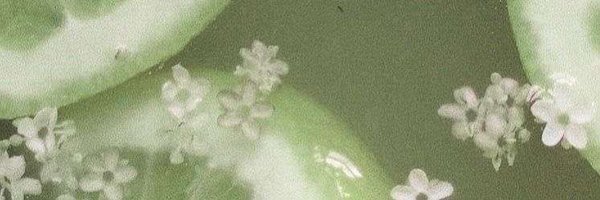 AliceLustxx Profile Banner