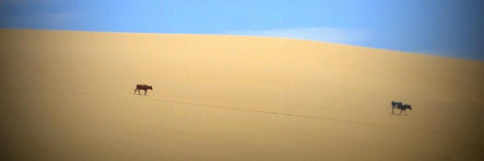 Stefania_ev's profile banner image