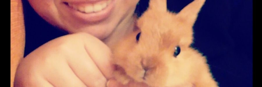 cisneblue's profile banner image