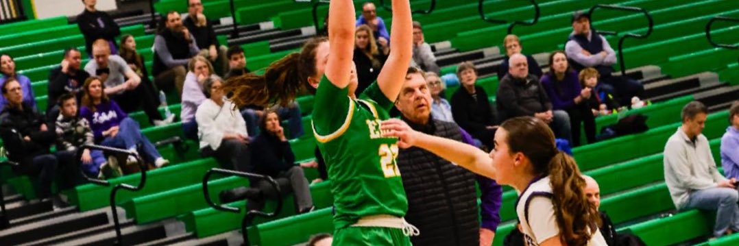 Elizabeth Vitt banner