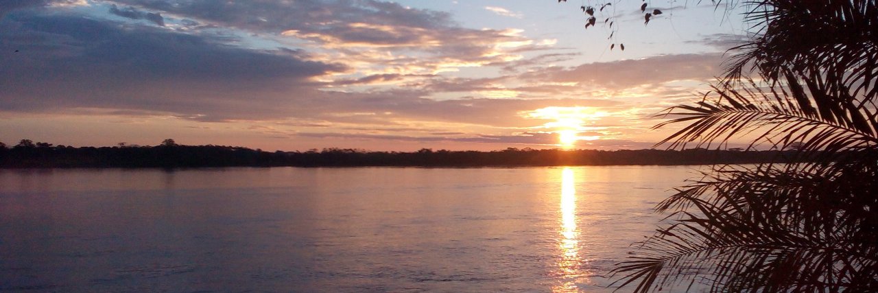 almolinas's profile banner image