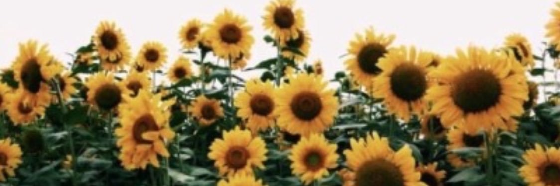 shaytook2014's profile banner image