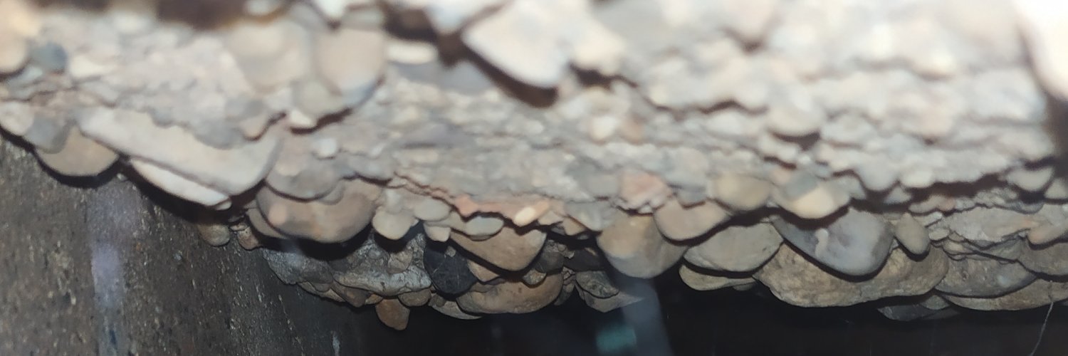Lolofap5's profile banner image