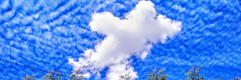 _robertaleiza's profile banner image