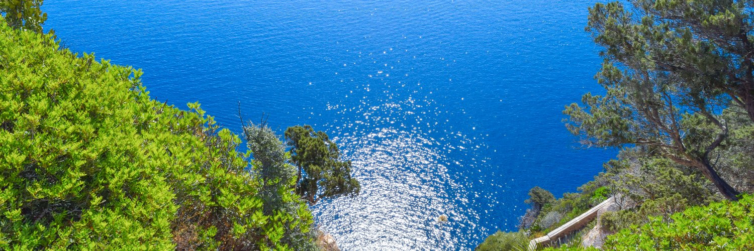 Kiss Beáta  banner