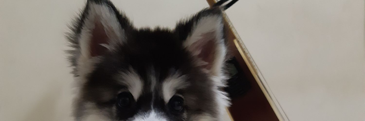 Hermilo Almeidaᶜʳᶠ banner