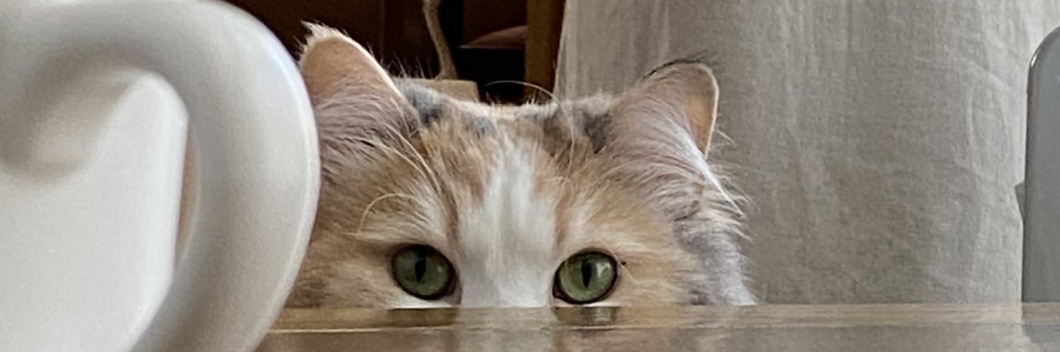 _iummmm's profile banner image