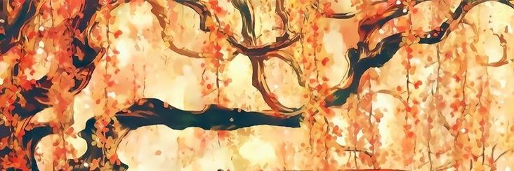 🌎🍝 - Venus ! 🌻🍔 banner