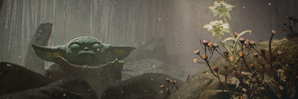 SCamuna's profile banner image