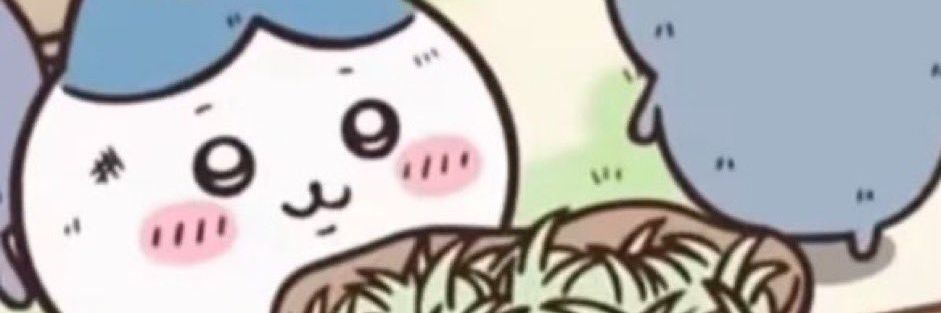 YORA banner