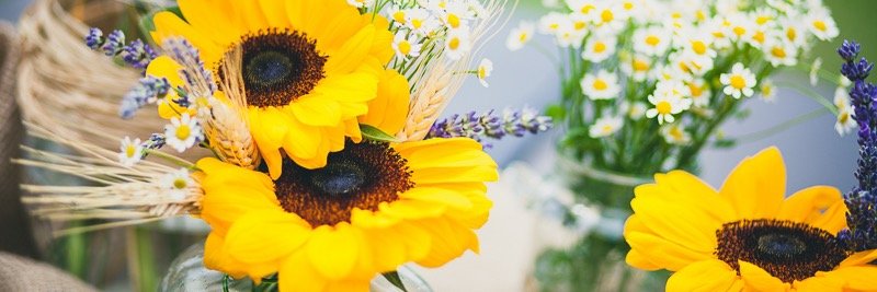 perfectdaywp's profile banner image