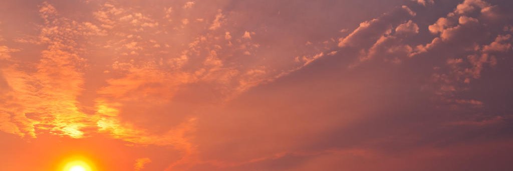 ilesavis's profile banner image