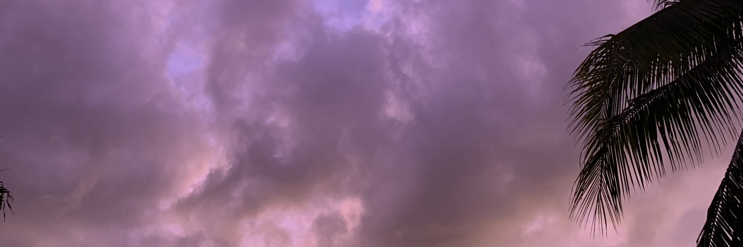 diniBlanco's profile banner image