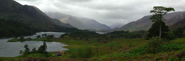 Intrepidity Profile Banner