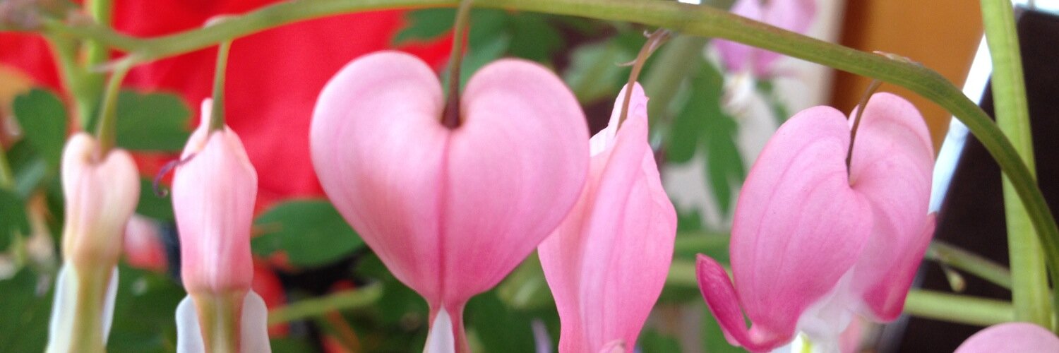 behappy5467's profile banner image