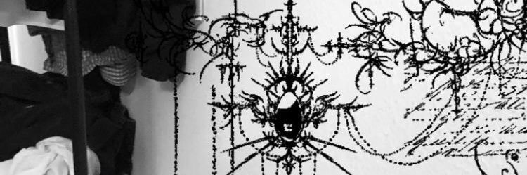 pochaccolito's profile banner image