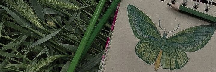 thatssocal's profile banner image