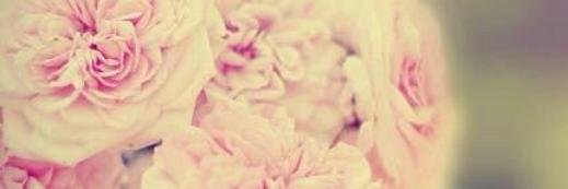 Viancajimenez's profile banner image