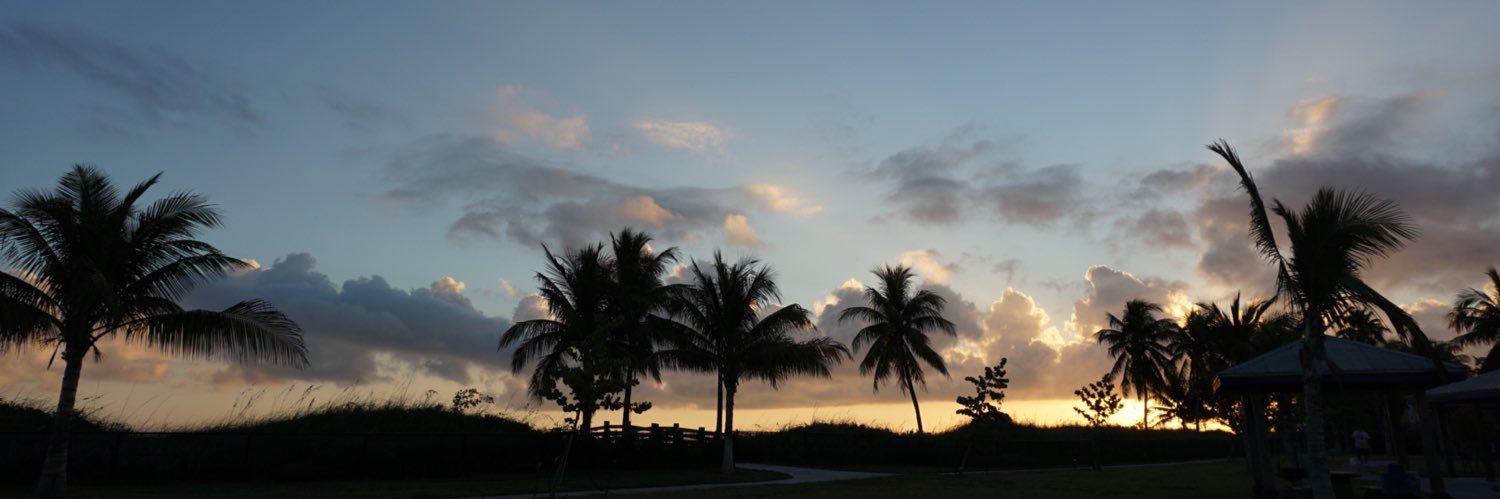 JackieMerkell's profile banner image