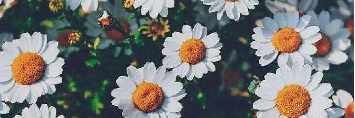 KarenMuzzin's profile banner image