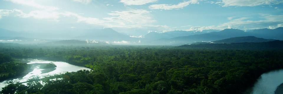 jankillian's profile banner image