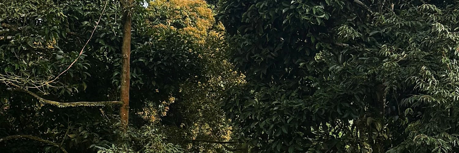 Punpun2705's profile banner image