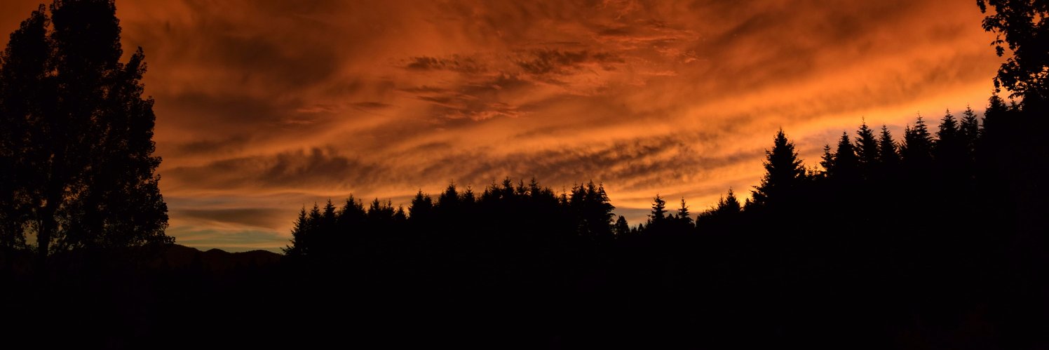 ColtonCreed's profile banner image