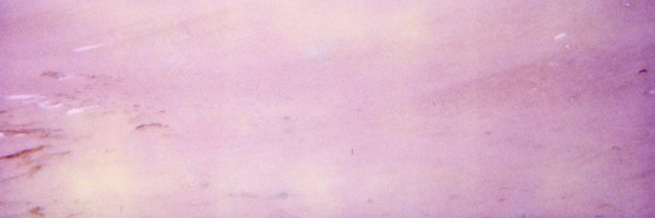 ArmyOfLocusts Profile Banner