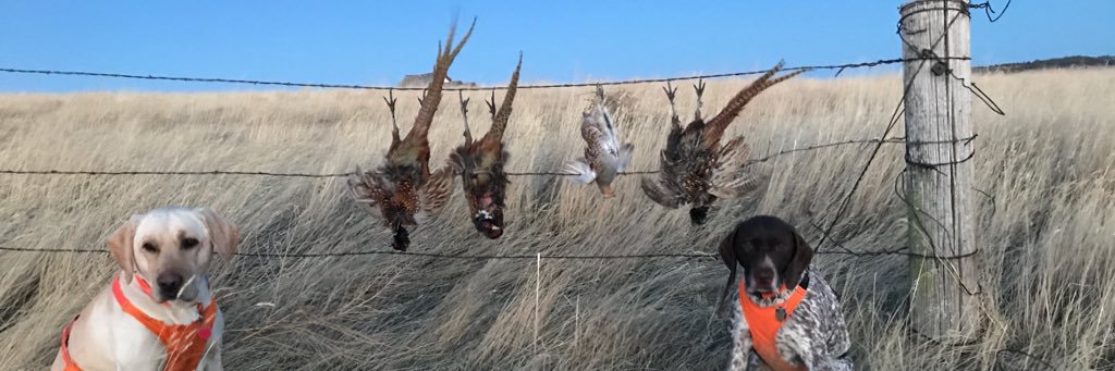 larson8919's profile banner image