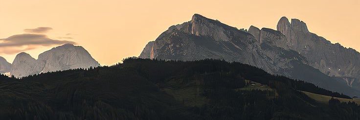 Daniel Vargas banner