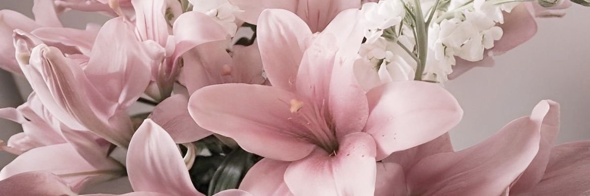 ˗ˏˋ ✦ ˎˊ˗ banner