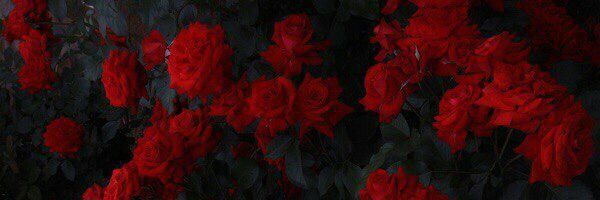 naty_coria07's profile banner image