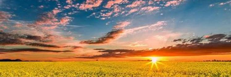 RyanBishop53306's profile banner image