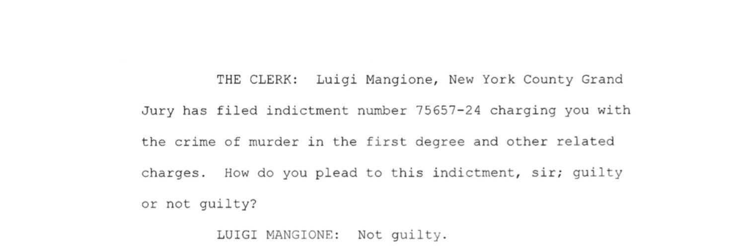 The Luigi Case's banner