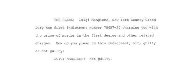 LuigiCaseFiles Profile Banner