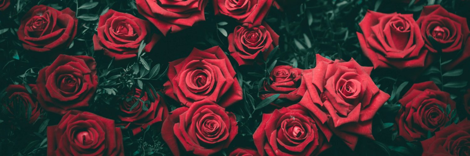 Zeonvrc's profile banner image