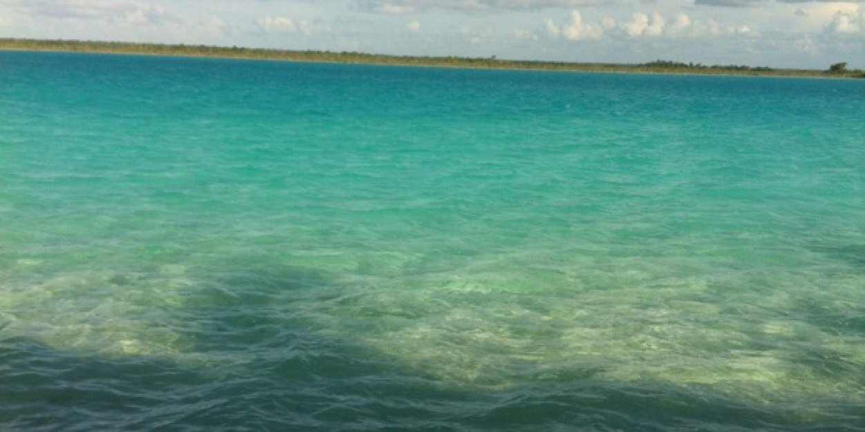 Alejandra Torres banner